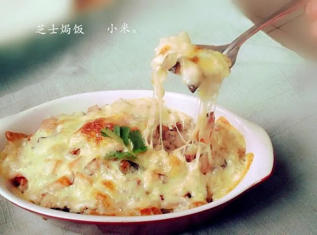 芝士焗饭 技术配方、实体教程-网亿资源平台