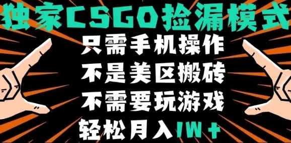 CSGO自动捡漏项目，最新独家玩法，不是美区搬砖，不需要了解和玩游戏，新手小白轻松月入1W+【揭秘】-网亿资源平台
