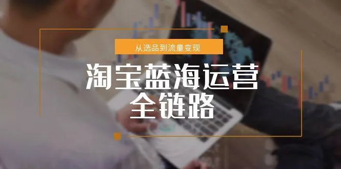 淘宝蓝海运营全链路，从选品到流量变现，小类目突围完整方案-网亿资源平台