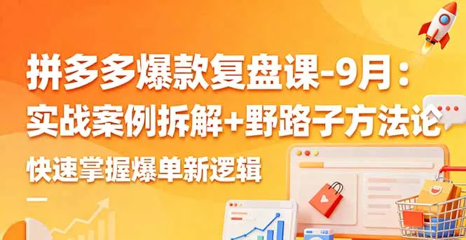 拼多多爆款复盘课-9月：实战案例拆解+野路子方法论，快速掌握爆单新逻辑-网亿资源平台
