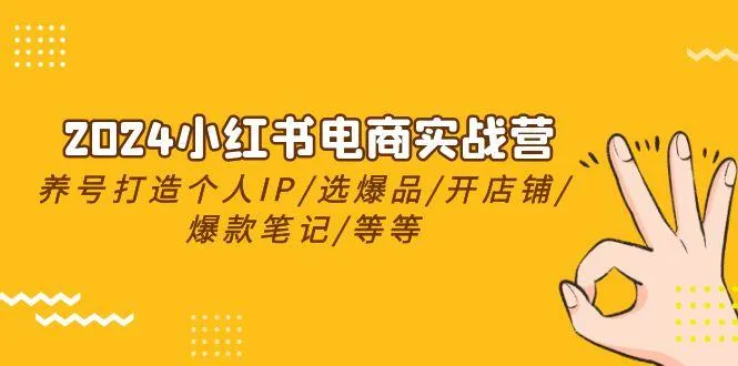 2024小红书电商实战营，养号打造IP/选爆品/开店铺/爆款笔记/等等(24节)-网亿资源平台