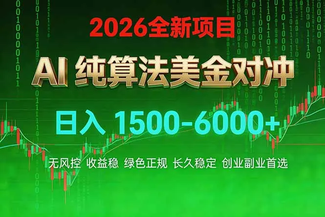 2026 全新美金对冲项目，不套平台赠金，不封号，纯算法对冲，日入 1500-6000+-网亿资源平台