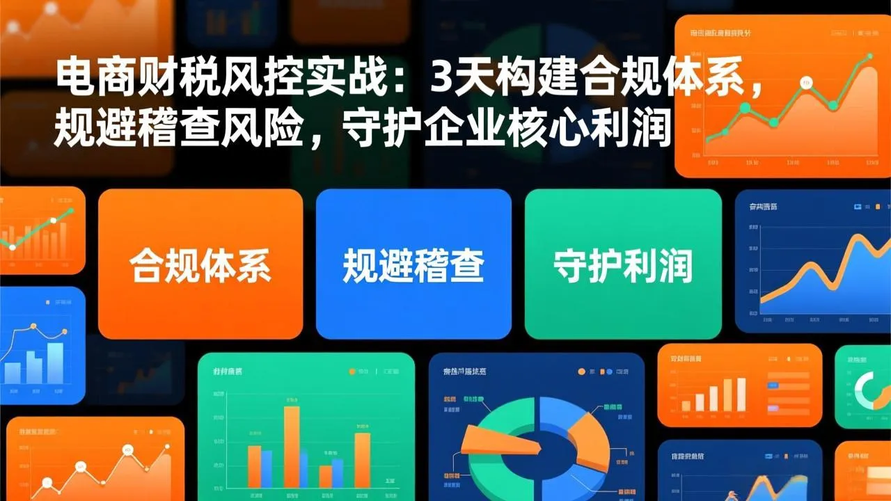 电商财税风控实战：3天构建合规体系，规避稽查风险，守护企业核心利润-网亿资源平台