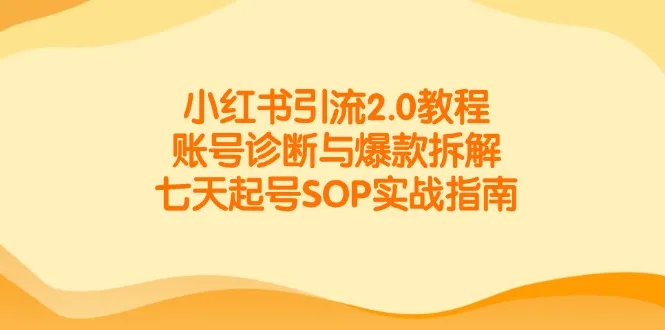 小红书引流2.0教程，账号诊断与爆款拆解，七天起号SOP实战指南-网亿资源平台