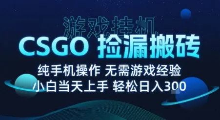 8月最新游戏搬砖，CSGO纯挂G，不需要玩游戏，实现真挂G，月入1W+【揭秘】-网亿资源平台