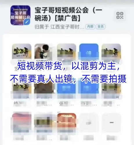 宝子哥头部团队短视频带货，以混剪为主，不需要真人出镜，不需要拍摄【更新11月】-网亿资源平台