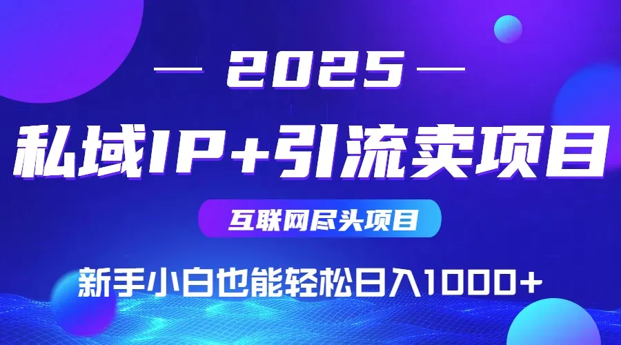 2025网创尽头项目，私域IP+引流，新手小白也能在家日入1000+-网亿资源平台