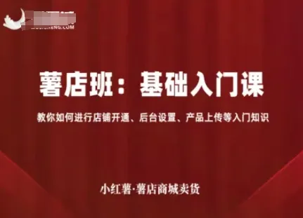小红薯薯店商城卖货，基础入门课，教你如何进行店铺开通、后台设置、产品上传等入门知识-网亿资源平台