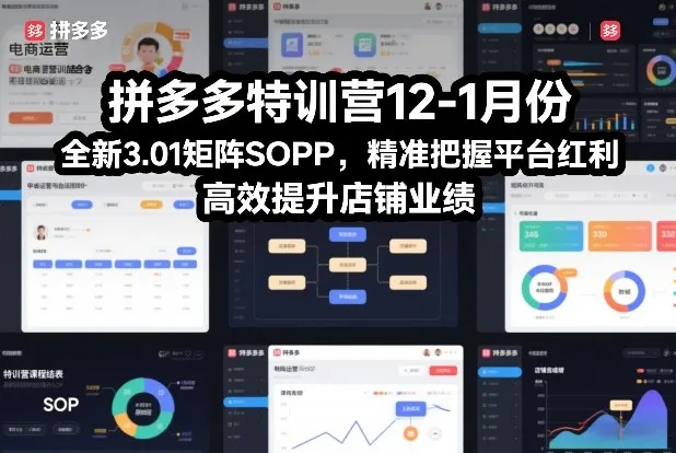 拼多多特训营12-1月份，全新3.01矩阵Sop，精准把握平台红利，高效提升店铺业绩-网亿资源平台