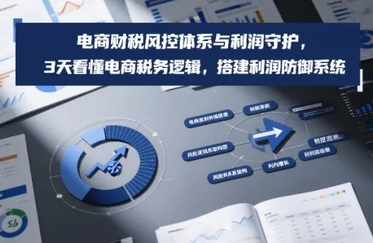 电商财税风控体系与利润守护，3天看懂电商税务逻辑，搭建利润防御系统-网亿资源平台