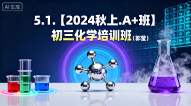 5.1.【2024秋上.A+班】初三化学培训班（郭莹）-网亿资源平台