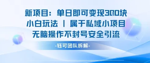 新项目单日即可变现3张的小白玩法无脑操作不封号安全引流-网亿资源平台