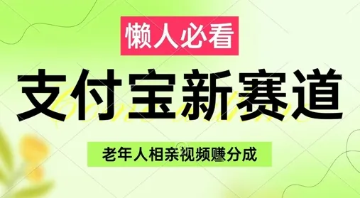 支付宝新赛道，利用老年人相亲视频，挣分成收益，轻松月入过W，操作简单-网亿资源平台