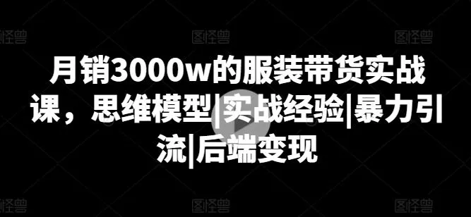 月销3000w的服装带货实战课，思维模型|实战经验|暴力引流|后端变现-网亿资源平台