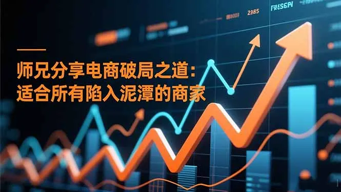 师兄分享电商破局之道：适合所有陷入泥潭的商家-网亿资源平台