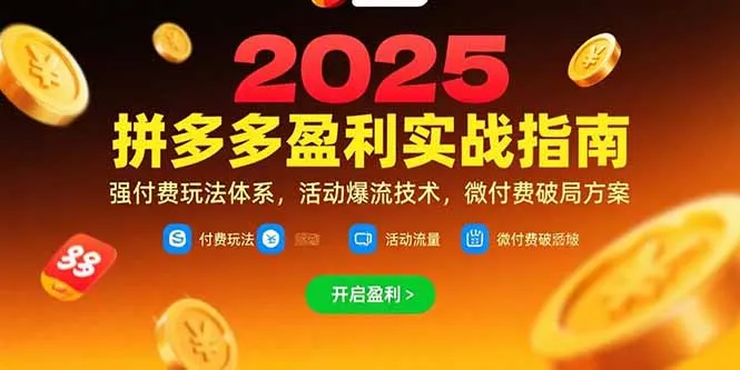拼多多盈利实战指南，强付费玩法，活动爆流技术，微付费破局方案(更新7月-网亿资源平台