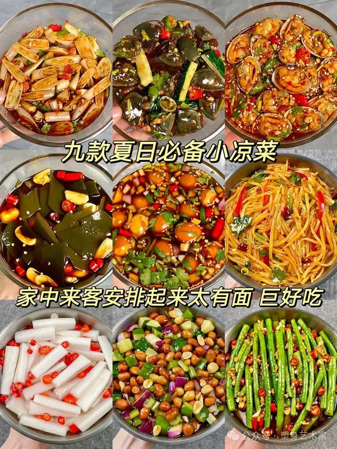 小董凉菜48道 技术配方、实体教程-网亿资源平台