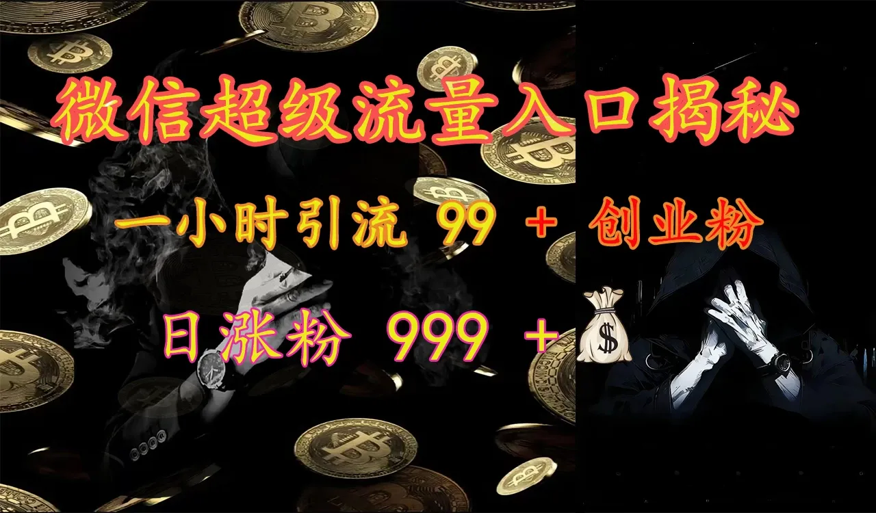 微信超级流量入口揭秘:一小时引流 99 + 创业粉,日涨粉 999 +-网亿资源平台