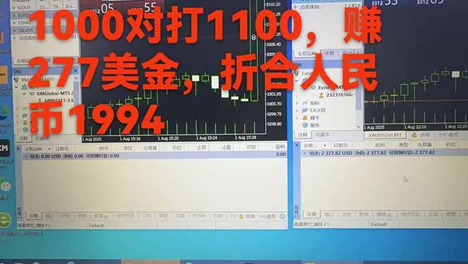 稳定8年的美刀搬砖项目，单人每日收益800—3000.团队4人月入10W+.可线下-网亿资源平台