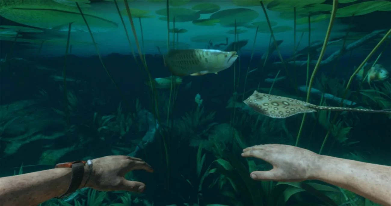 《绿色地狱》v2.9.0中文版-趣奇资源网-第7张图片 《绿色地狱》v2.9.0中文版-趣奇资源网-第7张图片